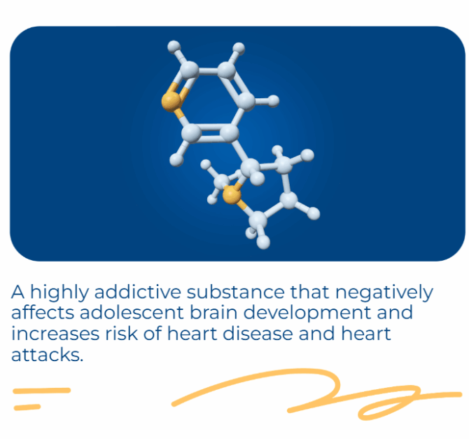 Image from the RVO-Health showing the nicotine molecule and its description